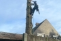 Demonteren boom