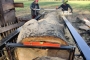 Planken zagen van boomstam